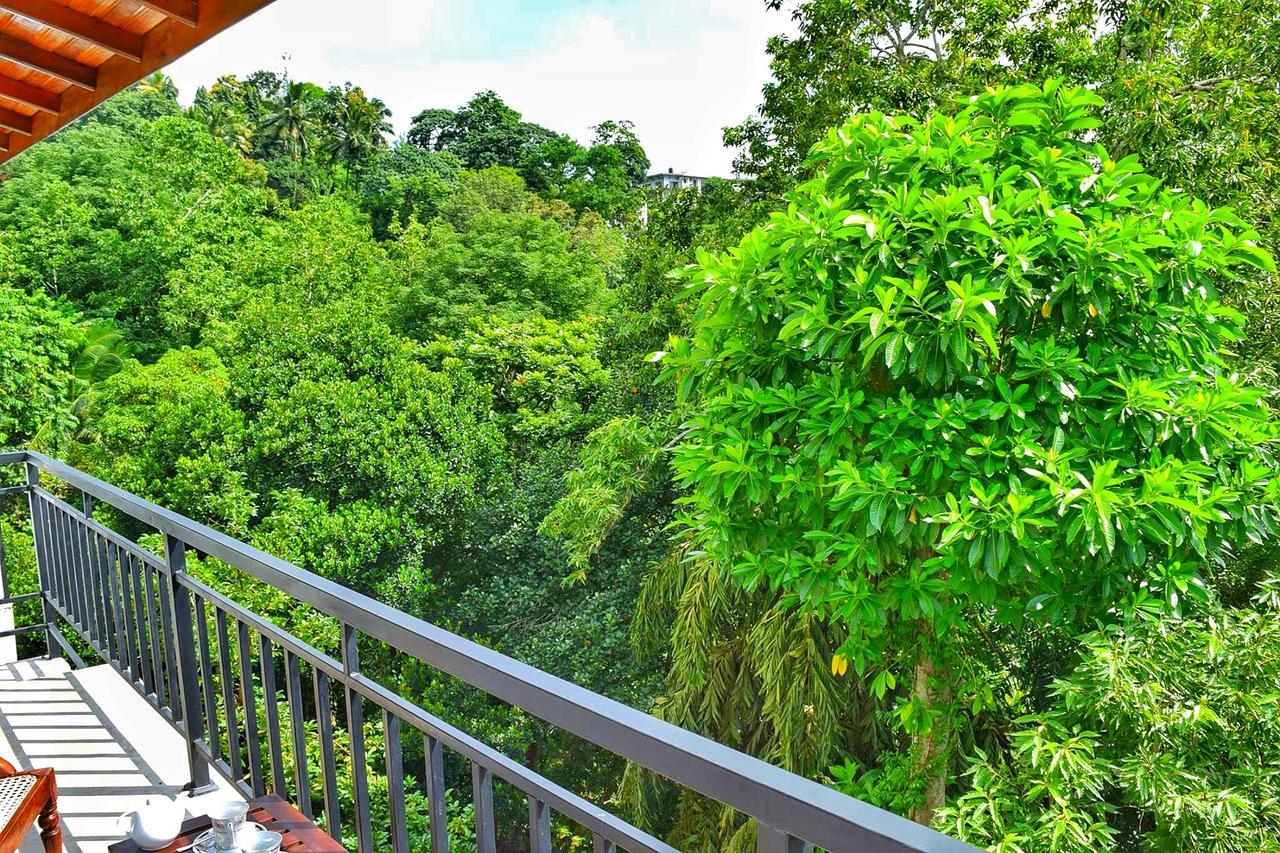 La Colina Kandy Dış mekan fotoğraf